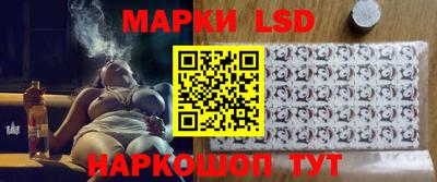 Альфа ПВП Кандалакша