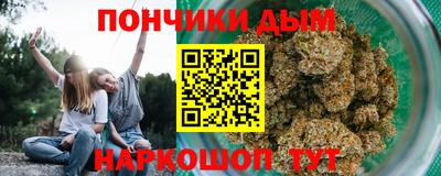 шишки Канаш