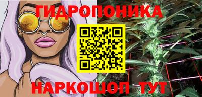 шишки Канаш