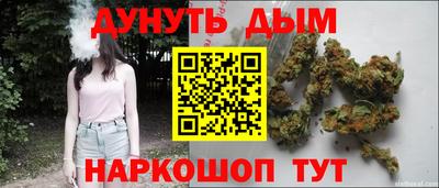 Альфа ПВП Кандалакша
