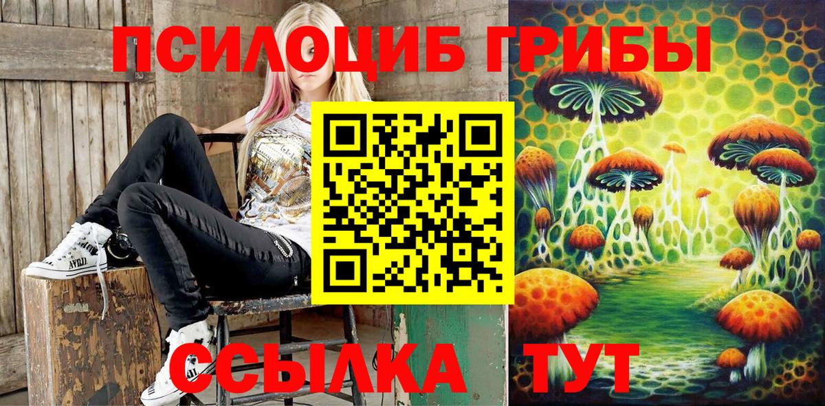 Галлюциногенные грибы Cubensis  Вход с VPN  Псилоцибиновые грибы прущие грибы  Лосино-Петровский 